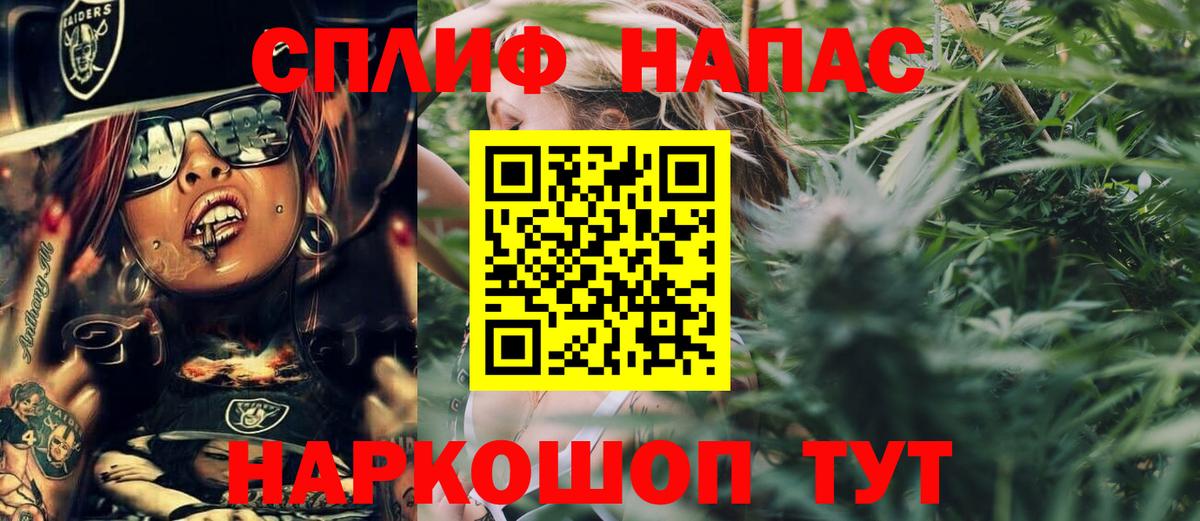 Каннабис ГИДРОПОН Геленджик